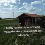 hektary pod lasem