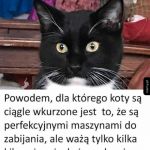 Cała prawda