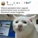 Głaskanie