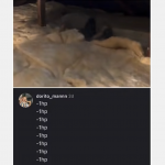 Czy on naprawdę nie wiem co to jest wełna szklana?