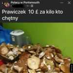 Sprzedaż prawiczków.