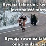 Grunt to dobra motywacja