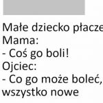 No właśnie