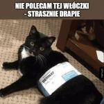 Włóczka