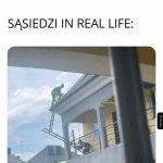 Sąsiedzi w prawdziwym życiu