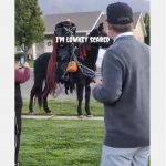 Jeździec bez głowy