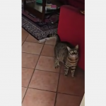 Dieta by się przydała