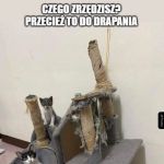 Chyba przeszło tornado