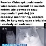 Tęskniły