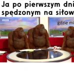 Pierwszy dzień