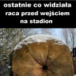 laga miszczów