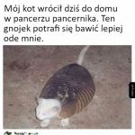 Dziwny powr&oacute;t