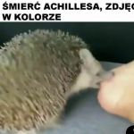 Jedyne takie zdjęcie