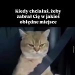 Niezłe miejsce