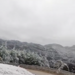 Do zobaczenia na wiosnę!