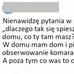 A co was to interesuje