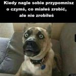 No to przypał