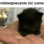 Będzie bezpieczniej