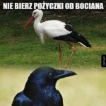 Pożyczka