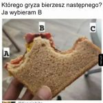 Jedyny słuszny wyb&oacute;r