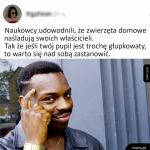 Warto się zastanowić