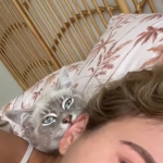 Kup sobie kota m&oacute;wili. będzie fajnie m&oacute;wili