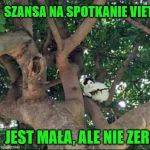 Trzeba mieć pecha