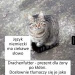 Interesujące słowo