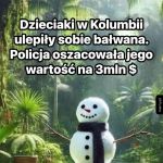 Kolumbijski śnieg