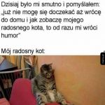 Radosny kot