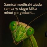 Za to my mamy wiecej kopulacji XD