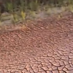 Woda wraca do wyschniętego koryta rzeki