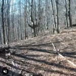 Nigdy nie lekceważ faceta z kijem