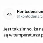 Az tak przymroziło