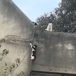 Nigdy się nie poddawaj