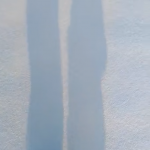 Witamy w Parku Jurajskim.