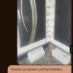 Prawie wszystko się zgadza