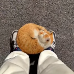 Chyba sp&oacute;źnię się do roboty