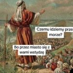 Jasna i klarowna odpowiedz