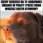 Nie ma żart&oacute;w