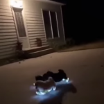 Nie gubią się podczas wieczornego spaceru