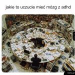M&oacute;zg z adhd