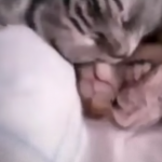 Ja przerwać koszmar