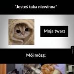 Jesteś taka niewinna