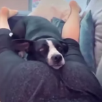 Wygodnie i przytulnie