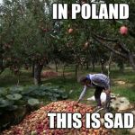 Sad jabłkowy