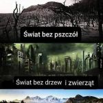 Jesteśmy niezbędni