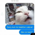 No co tam