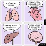 M&oacute;zg Gawlińskiego