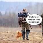 No właśnie